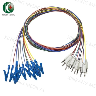 Diameter 10 mm EEG-kabels Internationaal 10-20 System Elektrode plaatsing